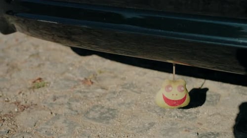 Frog Decoration Hanging From Car Bumper