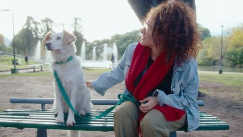Female Owner Petting and Kissing Dog on Park Bench