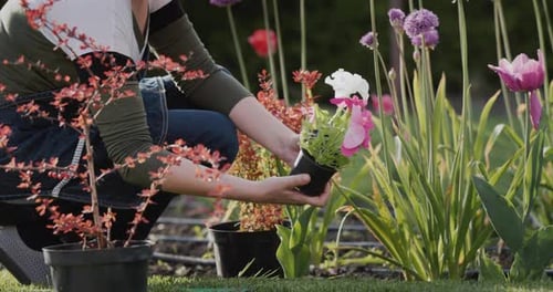 Middle Aged Woman Working in Her Backyard in Her Garden