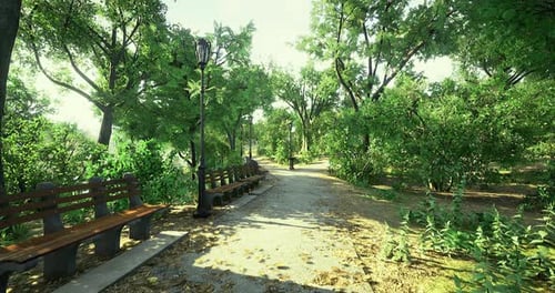 Serene Park Pathway Lined with Benches and Lush Greenery in Bright Sunlight