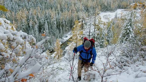 Portrait of Man Hiker Doing Hiking Outdoors in Winter Forest Caucasian Male Walks with Sticks and