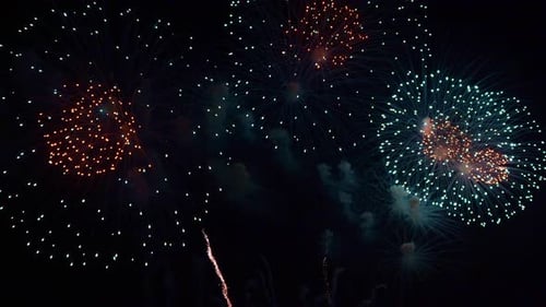 Colorful Fireworks Exploding in the Night Sky