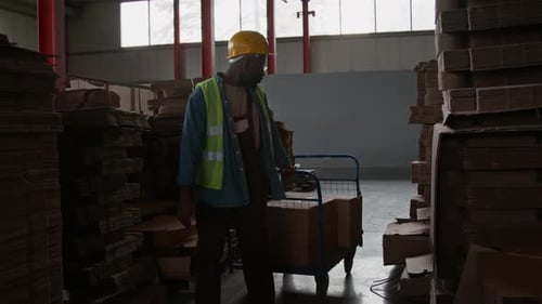 Black Male Factory Employee Transporting Boxes on Trolley in Warehouse