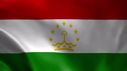 Realistic Tajikistan National Flag Waving Seamless Loop