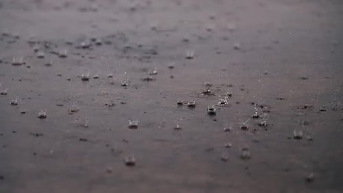 Torrential rain during rainy season. Rain drops hitting ground close up.