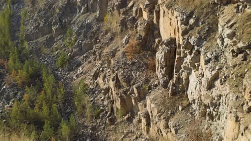 Rocky cliff with rough textures, golden sunlight, and sparse vegetation. rugged terrain highlights
