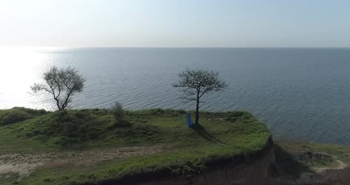 A beautiful girl in a blue dress stands on the edge of a cliff in front of the sea near a tree.