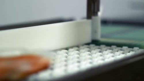 Food Packing Conveyor Belt Processing Sealed Packages