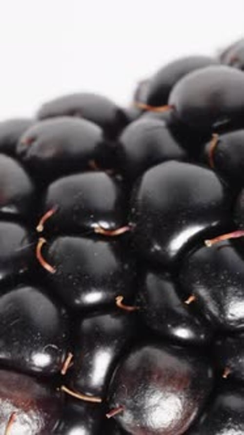 Vertical video. In macro view, a blackberry rotates on a white background.