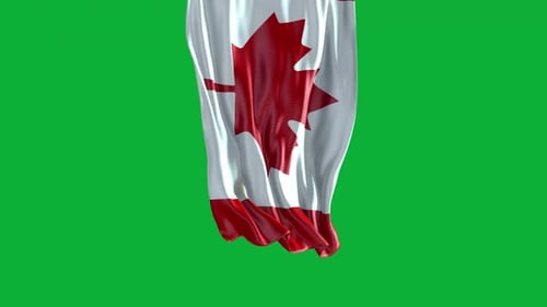 Realistic Waving Canadian Flag Animation on Green Screen