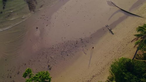 Woman Walking on Tropical Beach at Sunset