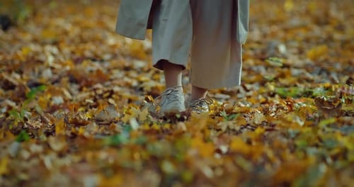 Kicking Yellowed Foliage in Park Woman Walking in Beautiful Forest Closeup of Feet Prores