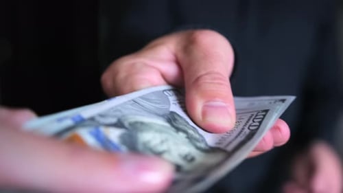 Close-up two people can not share money pull each other pack of dollars. Concept of greed