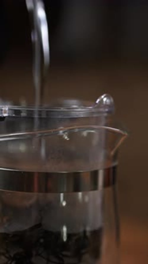 Brewing Tea A CloseUp View of the Infuser and Fresh Tea Leaves Unveiled for All Media