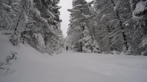 Mann langlaufen in den schneebedeckten Bergen in den Weihnachtsferien