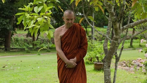 Monk Walking Meditation in Thai Forest Monastery