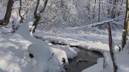 Eine ruhige Winterlandschaft mit einem ruhigen, schneebedeckten Bach, der sich perfekt für Erkundungen eignet