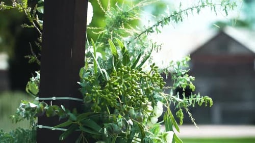 Romantic Floral Arch Decoration for Outdoor Wedding