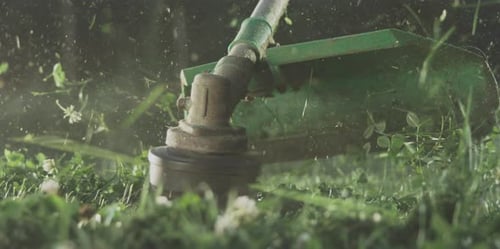 Gras schneiden mit einem Benzin-Rasenmäher