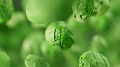 Animation of a group of brussels sprouts. Defocus. Close-up.