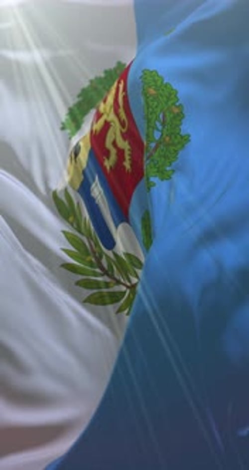 Vibo Valentia Flag
