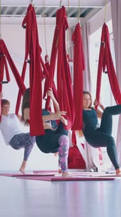 Women Exercising with Aerial Yoga Hammocks in Studio