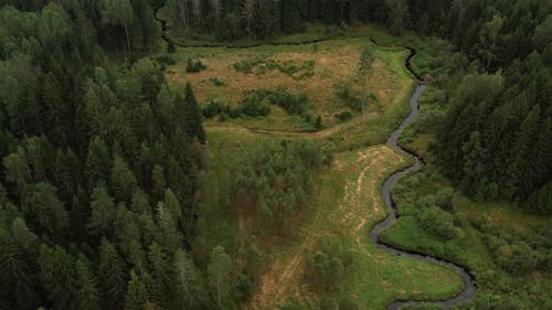 A winding river cuts through a dense green forest, creating a natural path through lush trees and