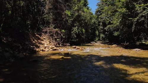 fast dolly Shot of a river bed with water running gently through a jungle rain forest with strong su