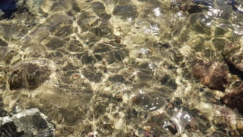 Clear Stream