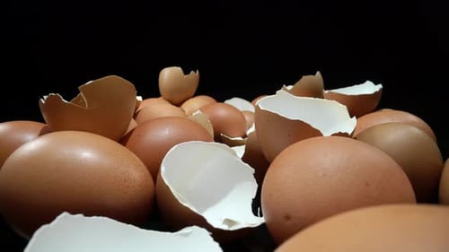Raw Chicken Eggs and Shells on a Black Background