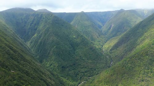Aerial view of lush green valley, misty mountains, vibrant forest, Hawaii.