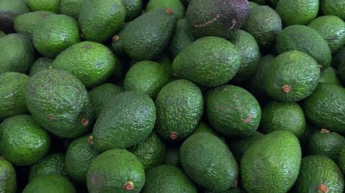 Panning view of a group of whole avocados on a green surface