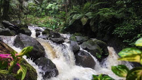 Pull out view of waterfall among rocks and green plants