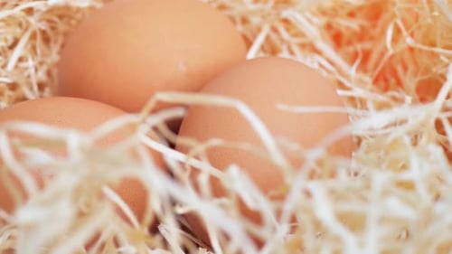 Brown Eggs Nestled in Straw, Close Up