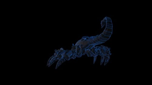 Robo Skorpion