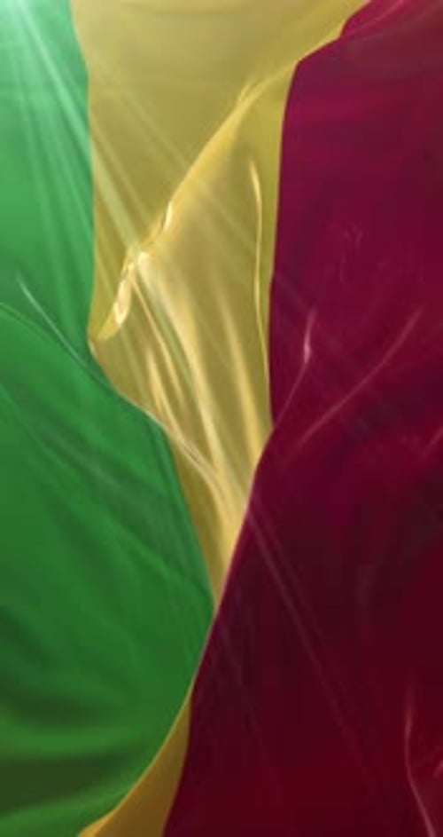 Realistic Waving National Flag Vertical Loop