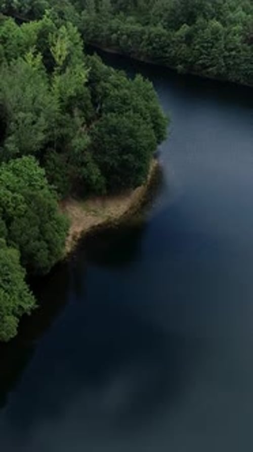 Scenic aerial drone shot over tranquil lake and lush green summer forest