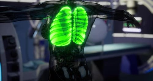 Futuristic 3D Animation of Human Lungs and Respiratory System