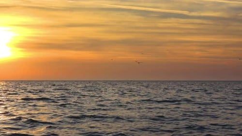 Amazing Sunset Over The Ocean And Birds Flying