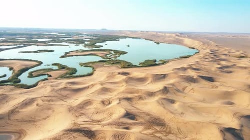 Cinematic Drone Shot of a Unique Desert Oasis with Golden Dunes and Lakes