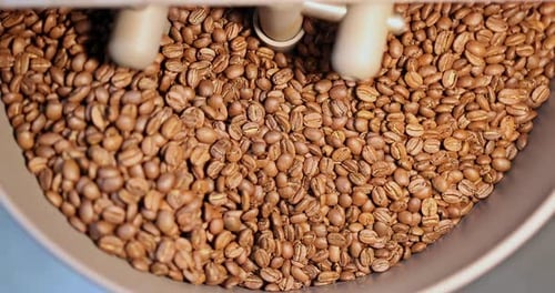 Coffee Beans Roasted in Machine, Close Up View