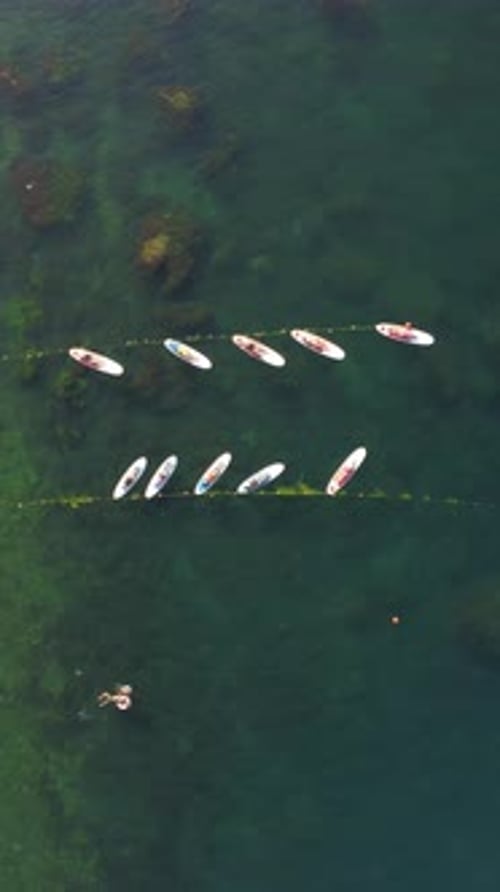 Aerial View of Paddle Boarders Near a Sandy Beach