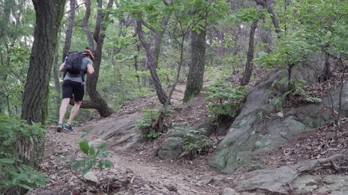 Male hiker walking up along the trail at forest mountain