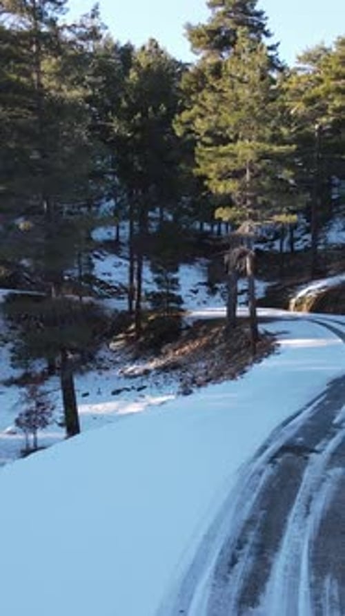 Winding Snowy Forest Road