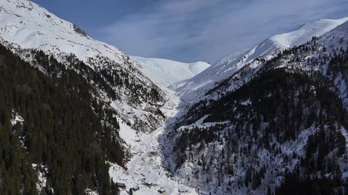 Snowcovered Valley Between Towering Pine Forests in Winter
