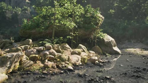 Bord de rivière paisible au Laos avec des rochers et une végétation luxuriante sous un soleil doux