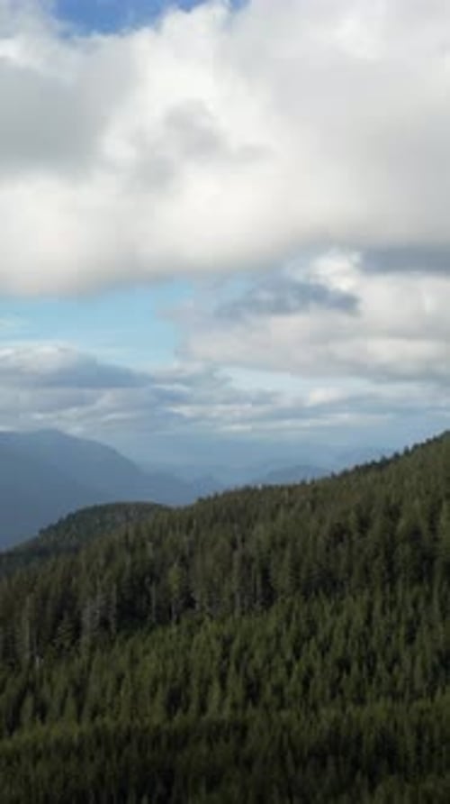 Mountain Forest Landscape. British Columbia, Canada.