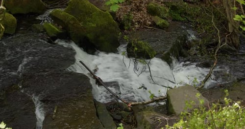 Water Flowing Down Rocky Stream in Nature