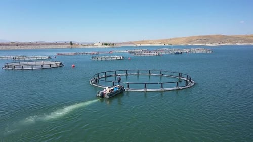 Vue aérienne des étangs à poissons dans le lac 2