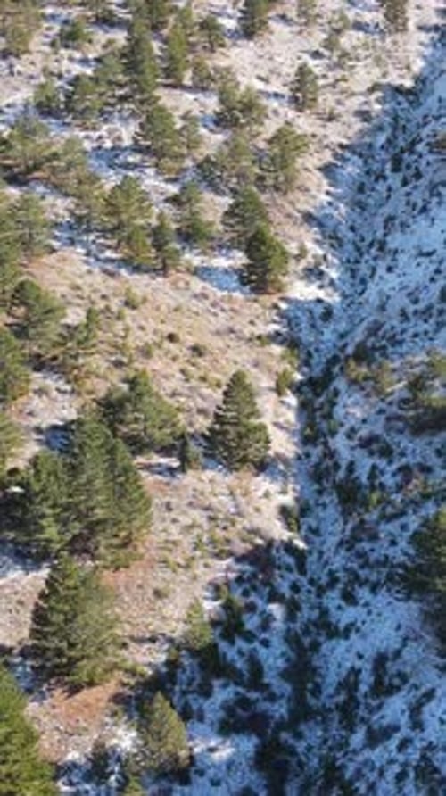 Erster Schnee auf dem Berg